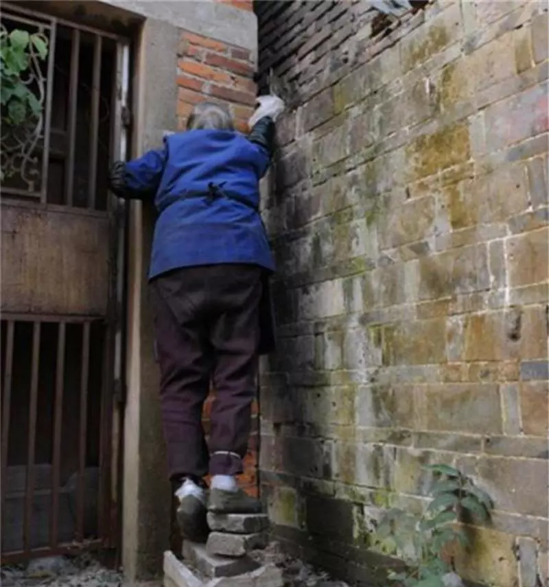 75歲高齡的阿嬤每天去菜市場撿別丟棄的魚內臟,好奇的我發現真相後蹲在地上淚流不止。
