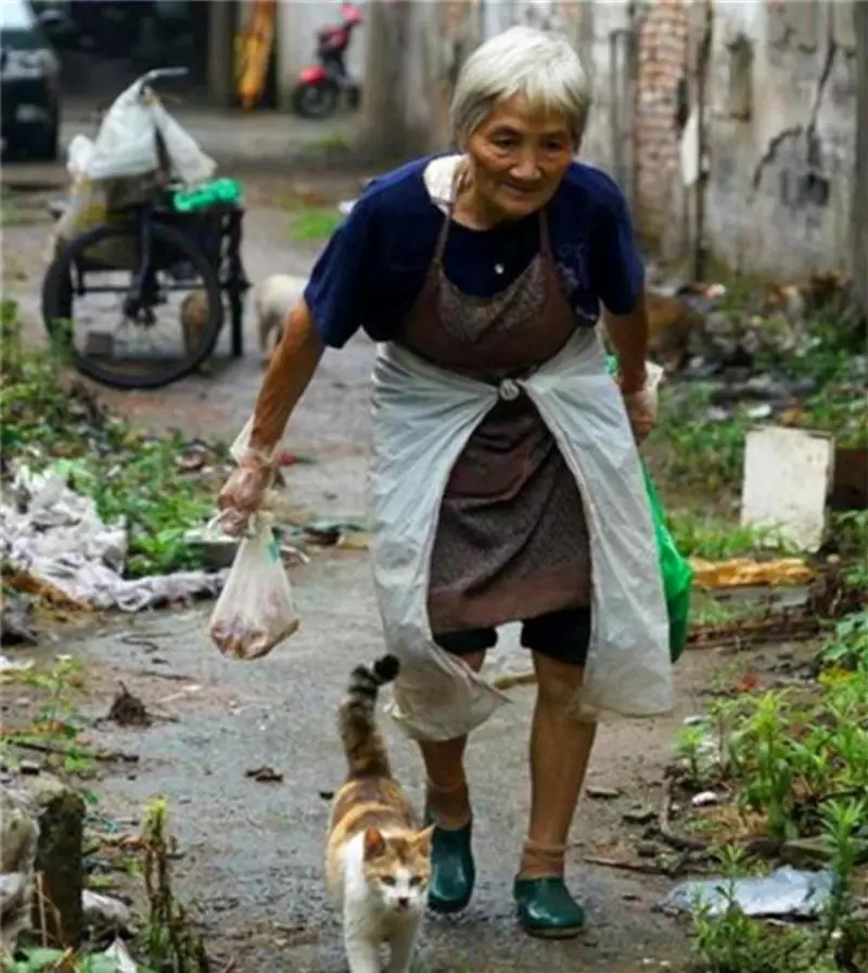 75歲高齡的阿嬤每天去菜市場撿別丟棄的魚內臟,好奇的我發現真相後蹲在地上淚流不止。