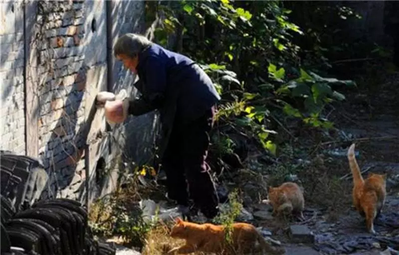 75歲高齡的阿嬤每天去菜市場撿別丟棄的魚內臟,好奇的我發現真相後蹲在地上淚流不止。