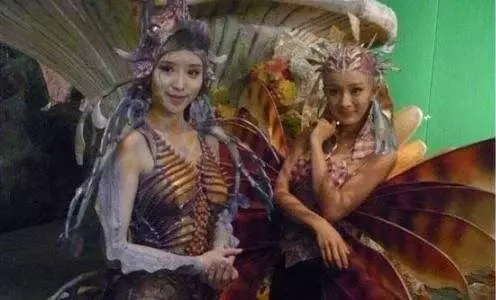 楊冪也要靠邊站!《延禧》高貴妃宮女「芝蘭」超強背景大起底!曾是Hollywood咖,還比章子怡紅!