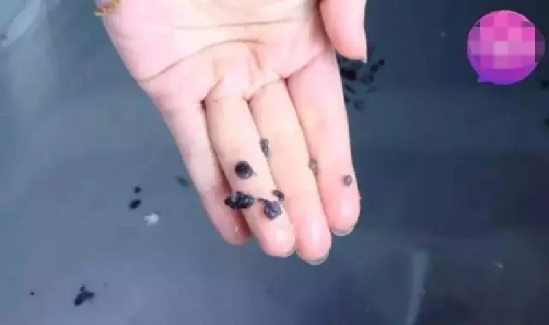 剛洗完的洗衣機看起來很乾淨,但用這簡單方法「真正的髒污」才能被洗出來