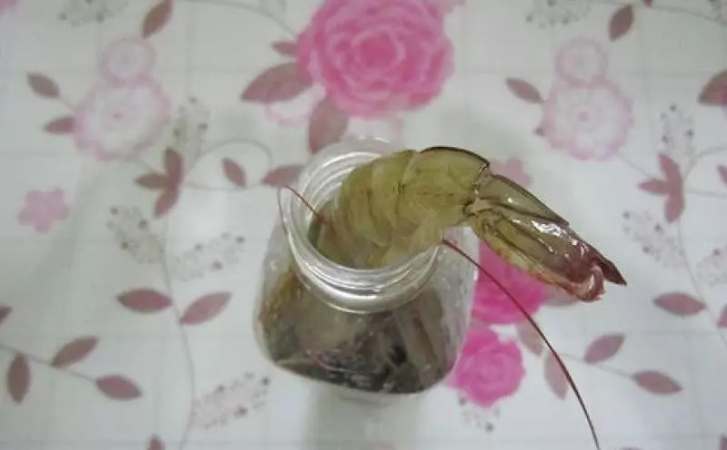 蝦買多了怎麼辦?教你1招,這樣保存蝦多久蝦頭再也不會變黑,別再直接放冰箱了