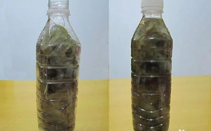 蝦買多了怎麼辦?教你1招,這樣保存蝦多久蝦頭再也不會變黑,別再直接放冰箱了