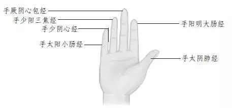 十指功、手指操、揉核桃,平常多動動手,疏通經絡,調暢氣血
