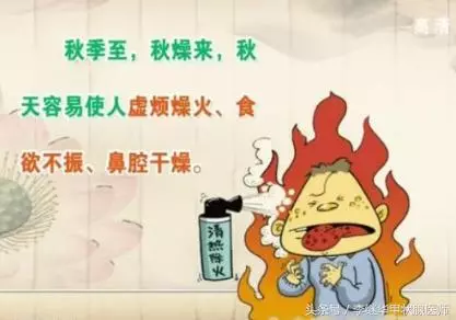 養好這個器官,整個秋天不生病!