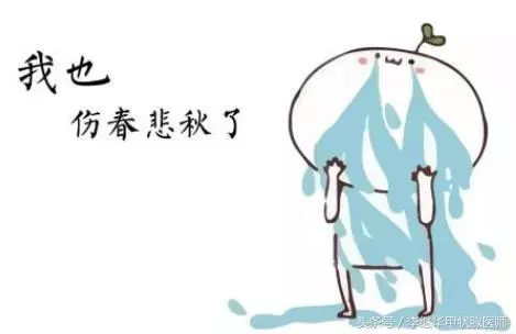 養好這個器官,整個秋天不生病!