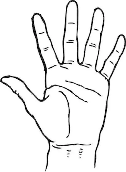 手感熱、手感寒、手指涼、手掌熱、手掌涼,手掌暗示臟腑健康