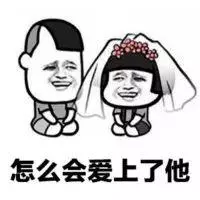 溫柔可人汪教你高濃度戀愛秘籍