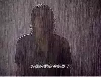 溫柔可人汪教你高濃度戀愛秘籍