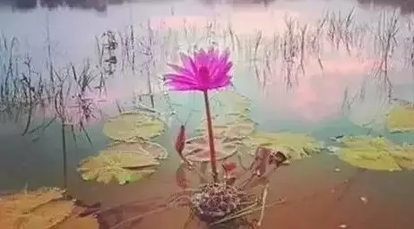 如果你身上出現了這五種情況,說明你的業障與孽緣已現前!