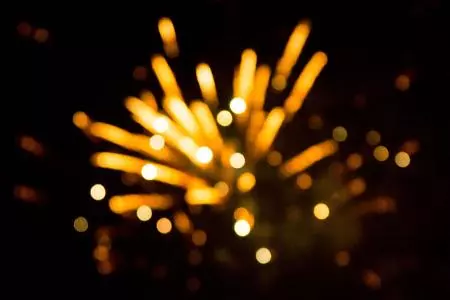心理測試:4隻狗選一隻,測狗年你哪方面能喜上加喜!