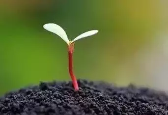 6個幽默小故事,個個道理深刻!