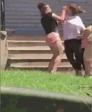 狗狗愛多管閒事,比居委會大媽都操心