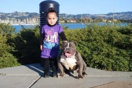 惡霸犬不能做寵物狗?彪悍的外表下竟是一顆溫柔的心