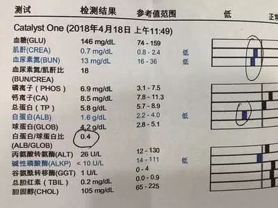 貓傳腹真的沒法治嗎?這4大誤區重視起來,別再被誤導了