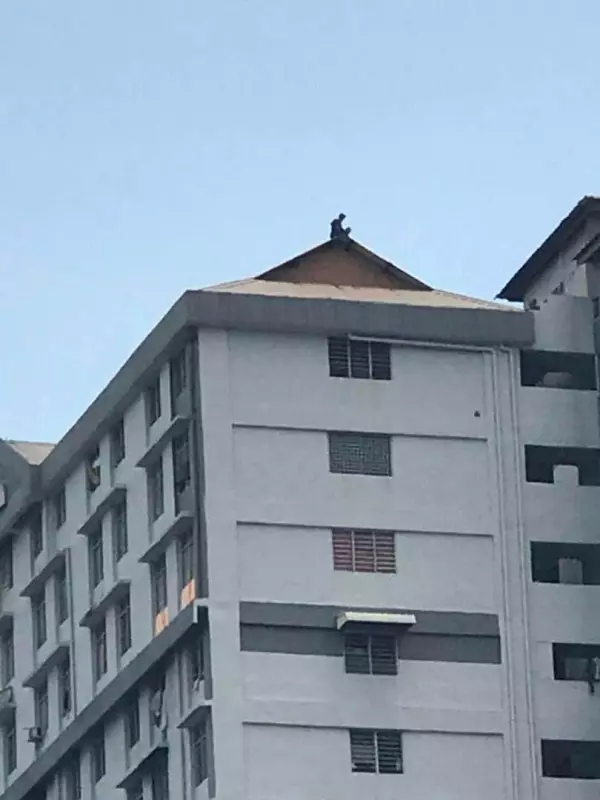 【馬來西亞】承包商20樓高組屋頂樓徘徊圖跳樓