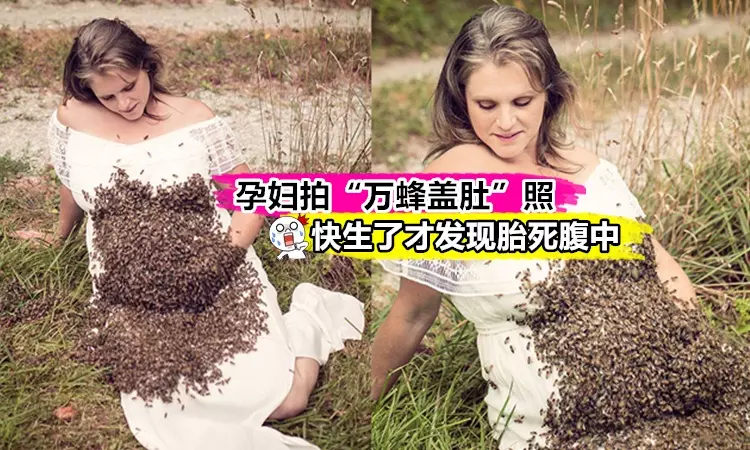 【孕婦拍"蜜蜂蓋肚"照,胎兒夭折】2萬隻蜜蜂在肚子上爬,還被叮了3次 !!