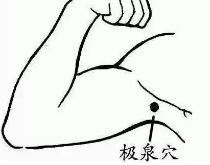 腹為陰,背為陽!按摩這4個地方,讓你陰陽平衡,氣血通暢