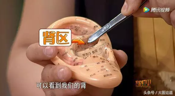 中華中醫藥學會專家:耳朵上有個補腎機關,堪比補藥