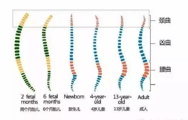 別這樣抱孩子了,傷了寶寶脊柱你還不知道,附不同月份的正確抱法