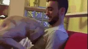 十種狗狗犯錯後的可愛表現,萌死了,你還會忍心罵它嗎?
