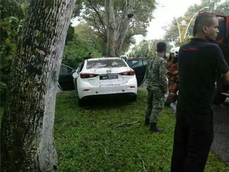 死亡車禍 !安全氣囊保不住性命 華青撞樹當場夾斃