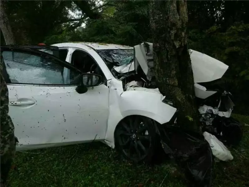 死亡車禍 !安全氣囊保不住性命 華青撞樹當場夾斃