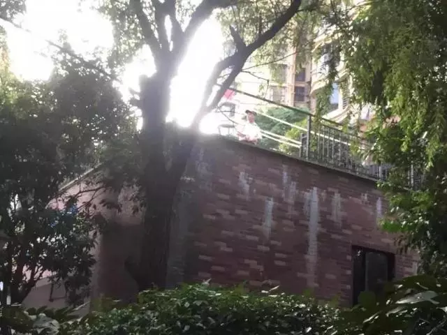 男童小區內騎車墜亡,物業大門玻璃碎裂,人去樓空