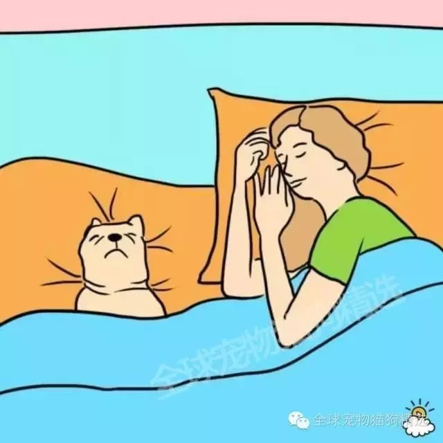 究竟人類和狗狗一起睡覺會不會影響身體呢?7個理由告訴你,就是該和牠們一起睡!!