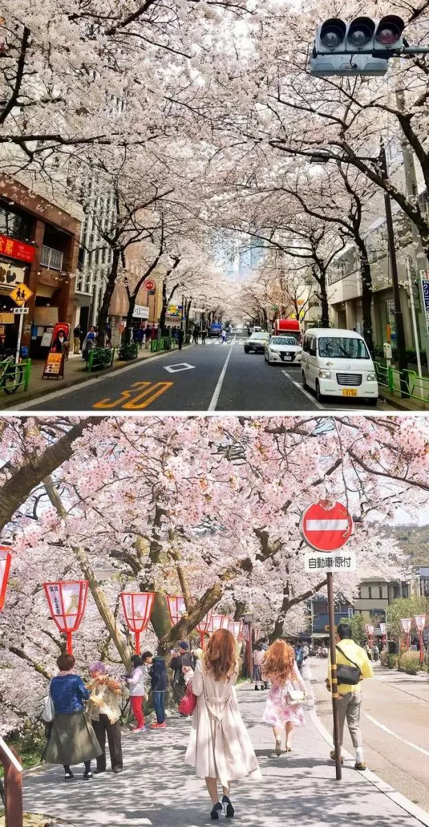 13張照片證明「日本根本是另一個星球上的國家」,在「壞掉的設施」旁邊有保全也太貼心!