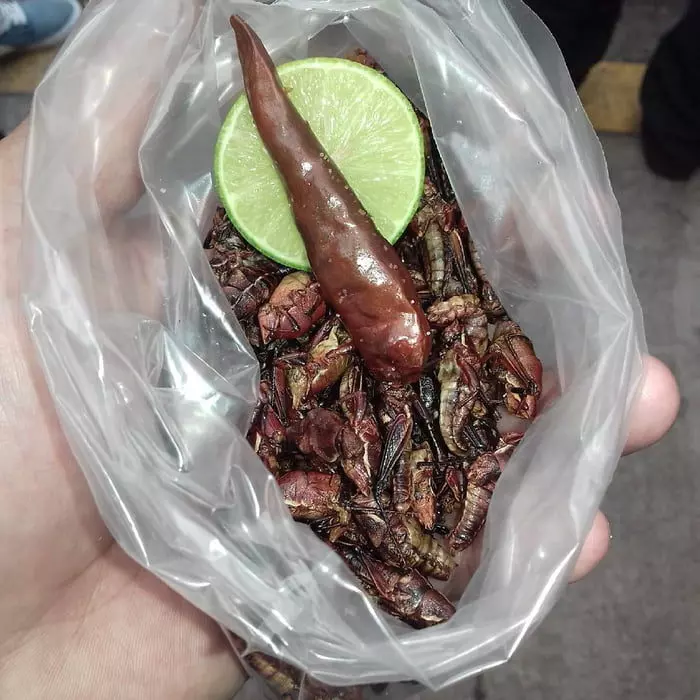 21個世界各地最奇葩的「特色黑暗料理」,臺灣「上榜食物」讓人有點意外阿XDD