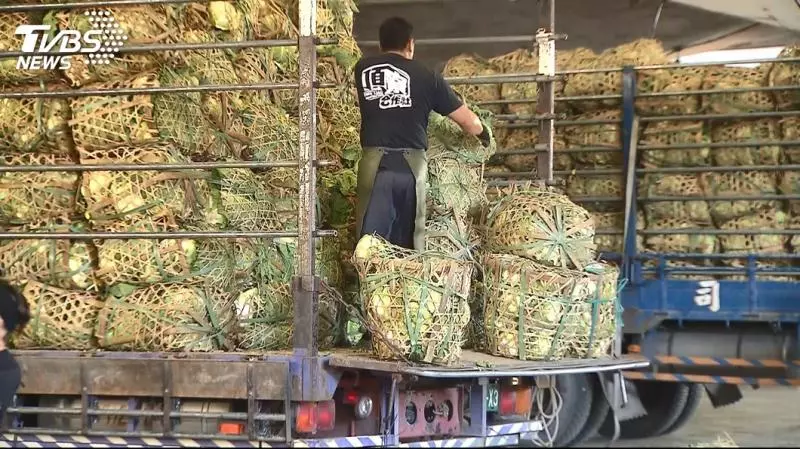 吳音寧左右手常董會前請辭! 議員:跳船