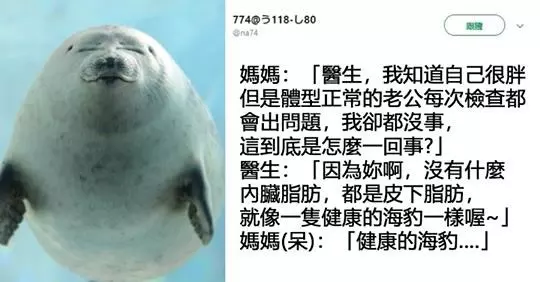 12個網友分享「醫生對你說過最衝擊的話」笑瘋全網,醫生:「狗狗耳朵沒問題,牠只是不想理你」太誠實了啦XDD