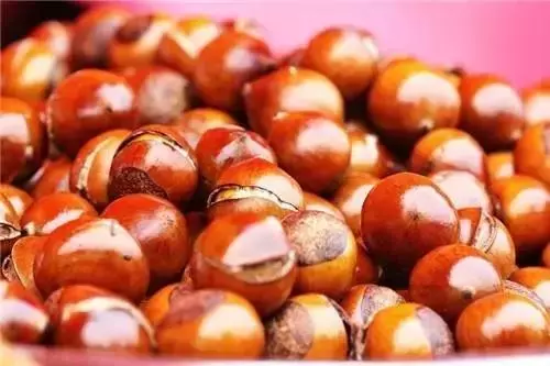 秋天的「養生高手」竟然是它,每天吃幾粒,腰好腿好血管好!
