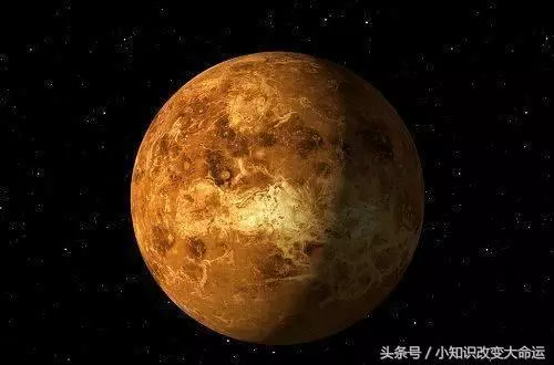 7個新奇又漲姿勢的冷知識,讓人眼睛一亮