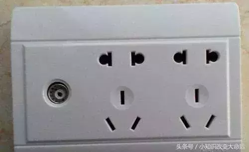 7個新奇又漲姿勢的冷知識,讓人眼睛一亮