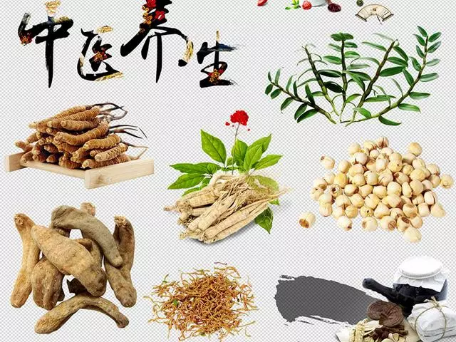 8款滋補養生湯,補腎壯腰、填虛扶陽,用美味消除腰酸背痛症狀