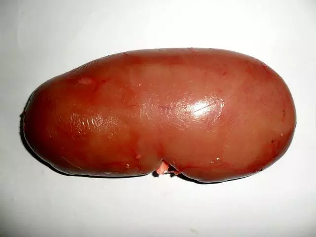 8款滋補養生湯,補腎壯腰、填虛扶陽,用美味消除腰酸背痛症狀