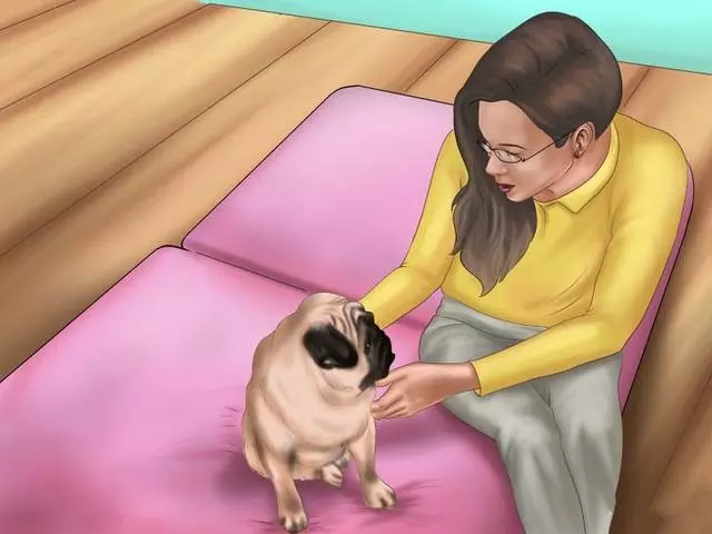 如何讓狗狗入睡,一夜好眠非常重要!