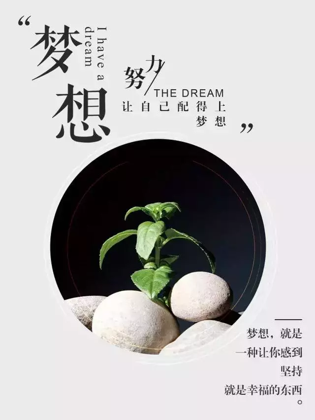 學最好的別人,做最好的自己!(深度好文)
