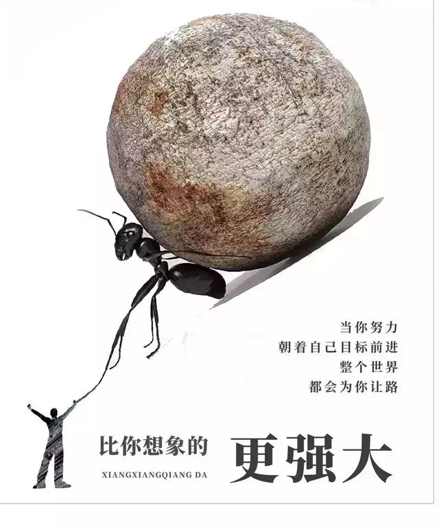 學最好的別人,做最好的自己!(深度好文)