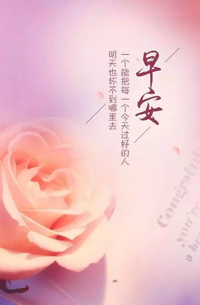 學最好的別人,做最好的自己!(深度好文)