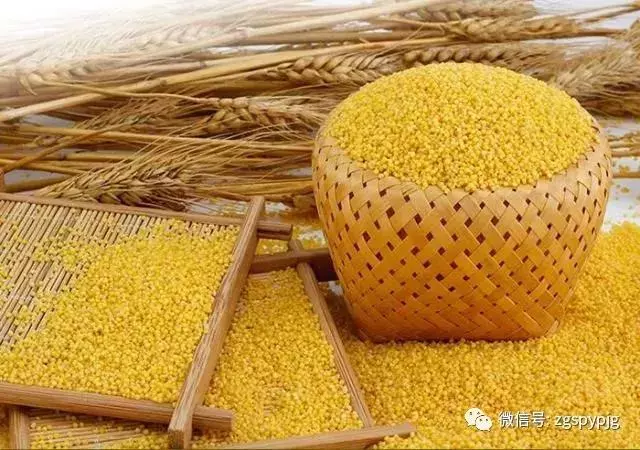 21種五穀雜糧的營養價值,好處各不同,受用一生!