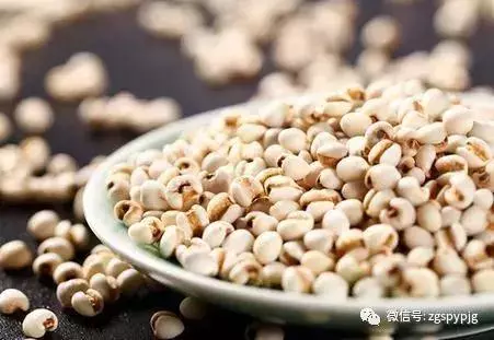 21種五穀雜糧的營養價值,好處各不同,受用一生!