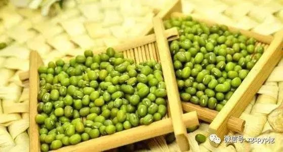 21種五穀雜糧的營養價值,好處各不同,受用一生!