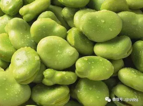 21種五穀雜糧的營養價值,好處各不同,受用一生!