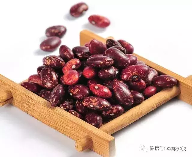 21種五穀雜糧的營養價值,好處各不同,受用一生!