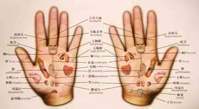 心、肝、脾、肺、腎,這五臟藏毒都有哪些表現?如何排除五臟毒