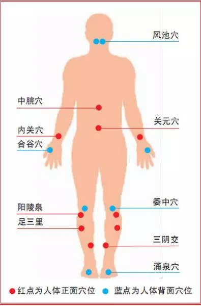養生不花錢!10大防病祛病穴,每天按一按,從頭到腳都健康~