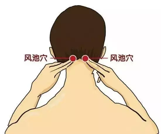 養生不花錢!10大防病祛病穴,每天按一按,從頭到腳都健康~